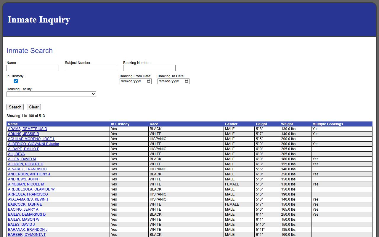 Will County Tyler New World public inmate records portal